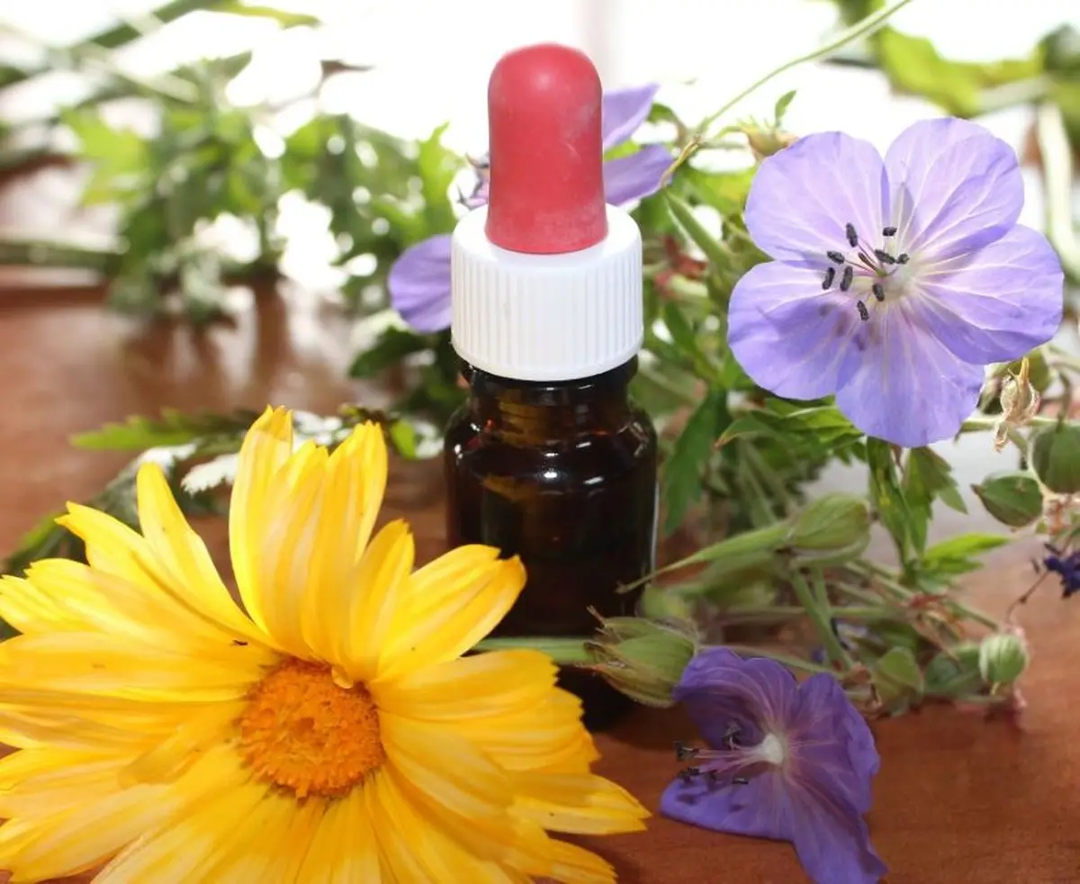 Atelier  Élixirs Floraux & Vitalité