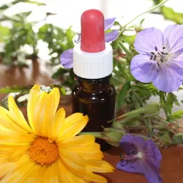 Atelier  Élixirs Floraux & Vitalité
