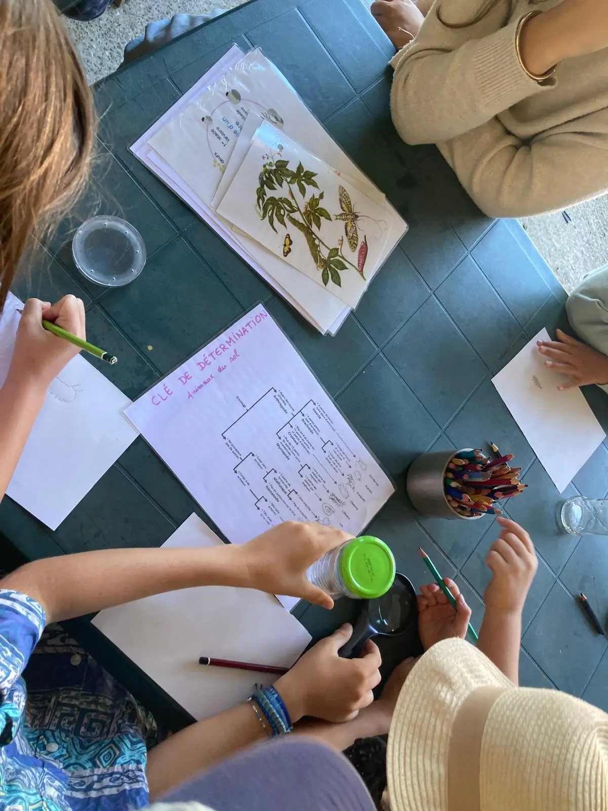 Atelier En[quête] d’insectes