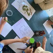 Atelier En[quête] d’insectes