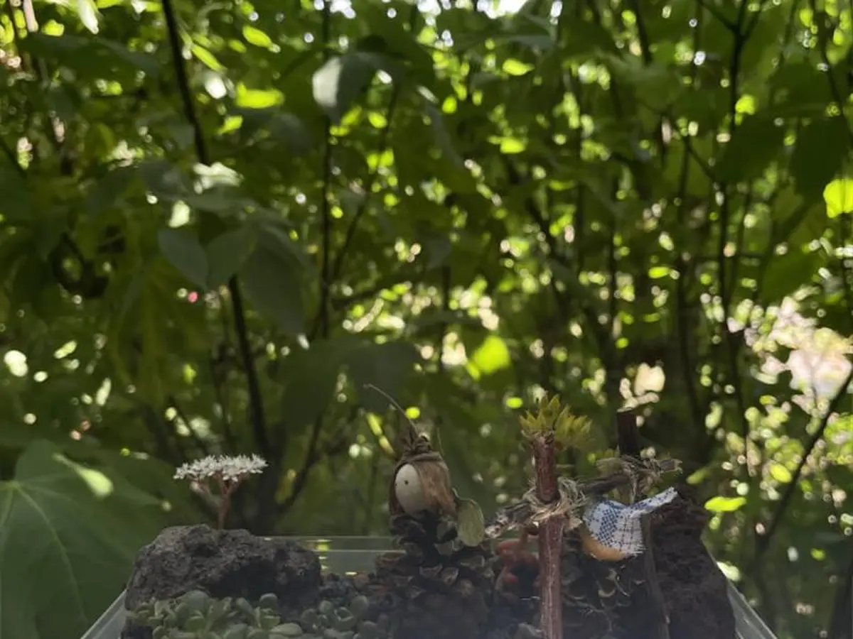 Atelier enfant 5-10 ans : Mini-jardin