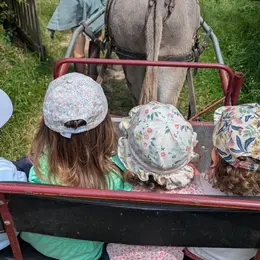 Atelier enfant - Aujourd'hui, c'est toi le fermier !