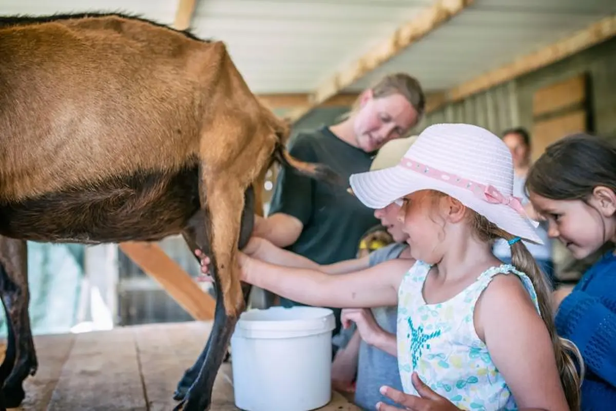 Atelier enfant - Aujourd'hui, c'est toi le fermier !
