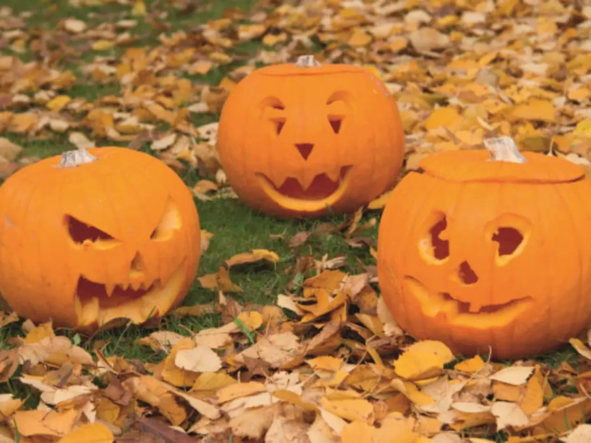 Atelier enfant citrouille Halloween chez Truffaut Bry-sur-Marne