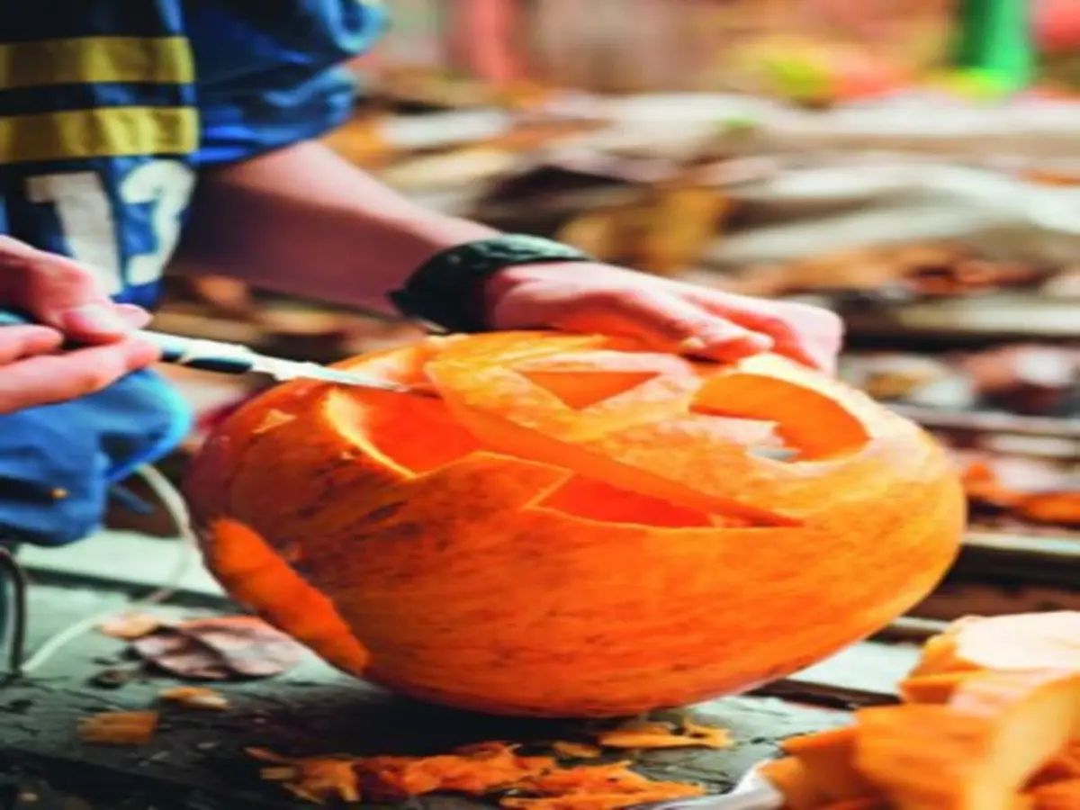 Atelier enfant citrouille Halloween chez Truffaut Cergy (95)