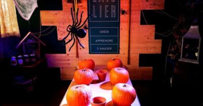 Atelier enfant citrouille Halloween Truffaut Saint-Brieuc (22)