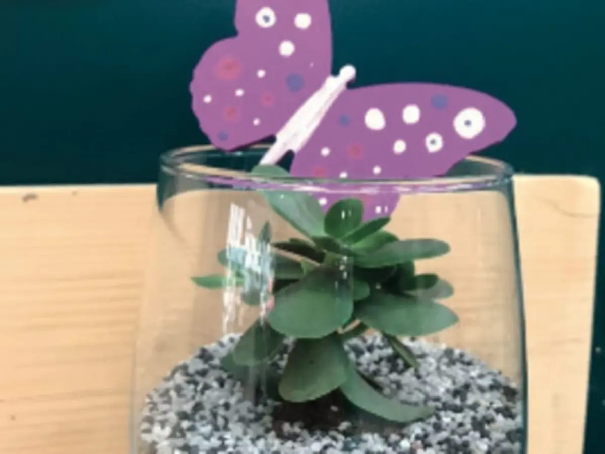 Atelier enfant création bulle de plantes, Truffaut Batignolles