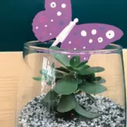 Atelier enfant création bulle de plantes, Truffaut Batignolles