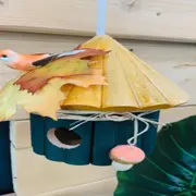 Atelier Enfant Nichoir pour oiseaux chez Truffaut Mauguio