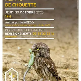 Atelier enfant : repas de chouette