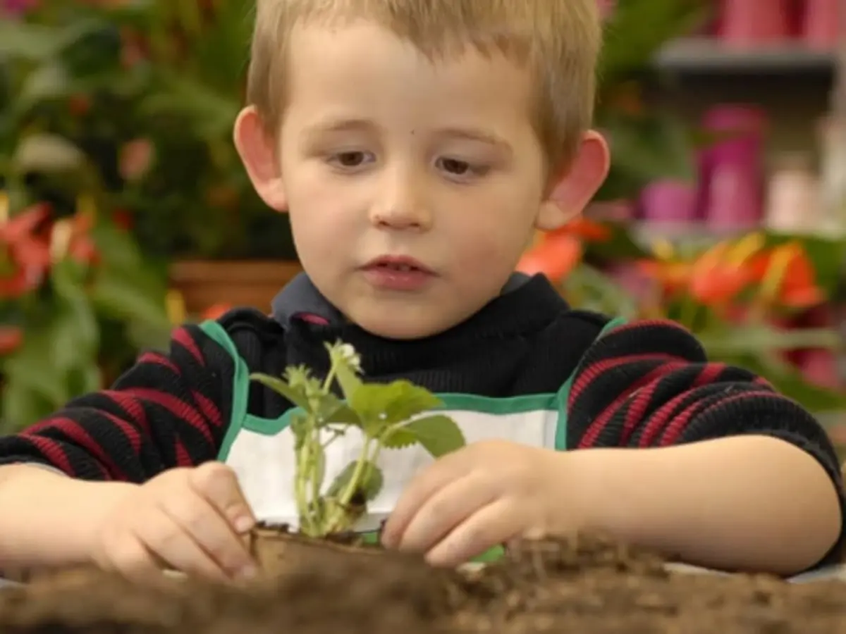 Atelier enfant vacances à la Cueillette de Saint-Gratien (80)