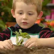 Atelier enfant vacances à la Cueillette de Saint-Gratien (80)