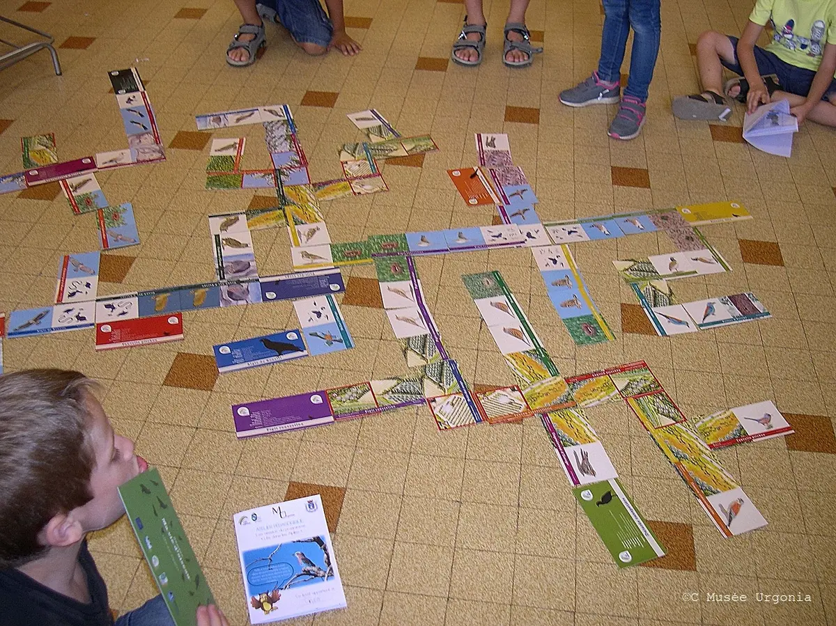 Atelier enfants : Les oiseaux des Alpilles