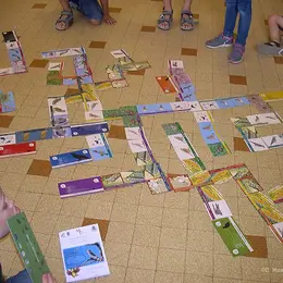 Atelier enfants : Les oiseaux des Alpilles