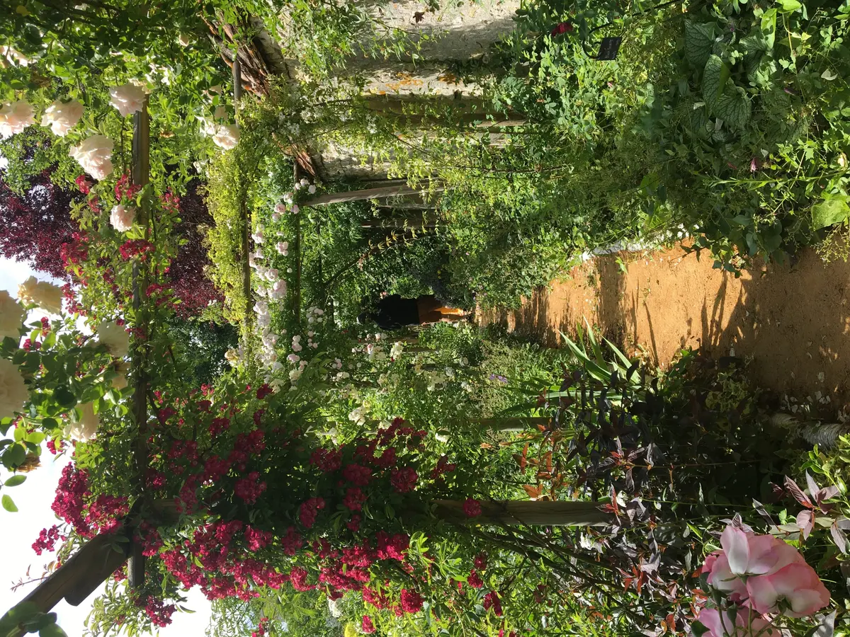 Atelier Entretenir les Vivaces