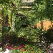 Atelier Entretenir les Vivaces