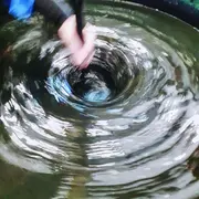 Atelier Et Conférence Autour Du Pastel