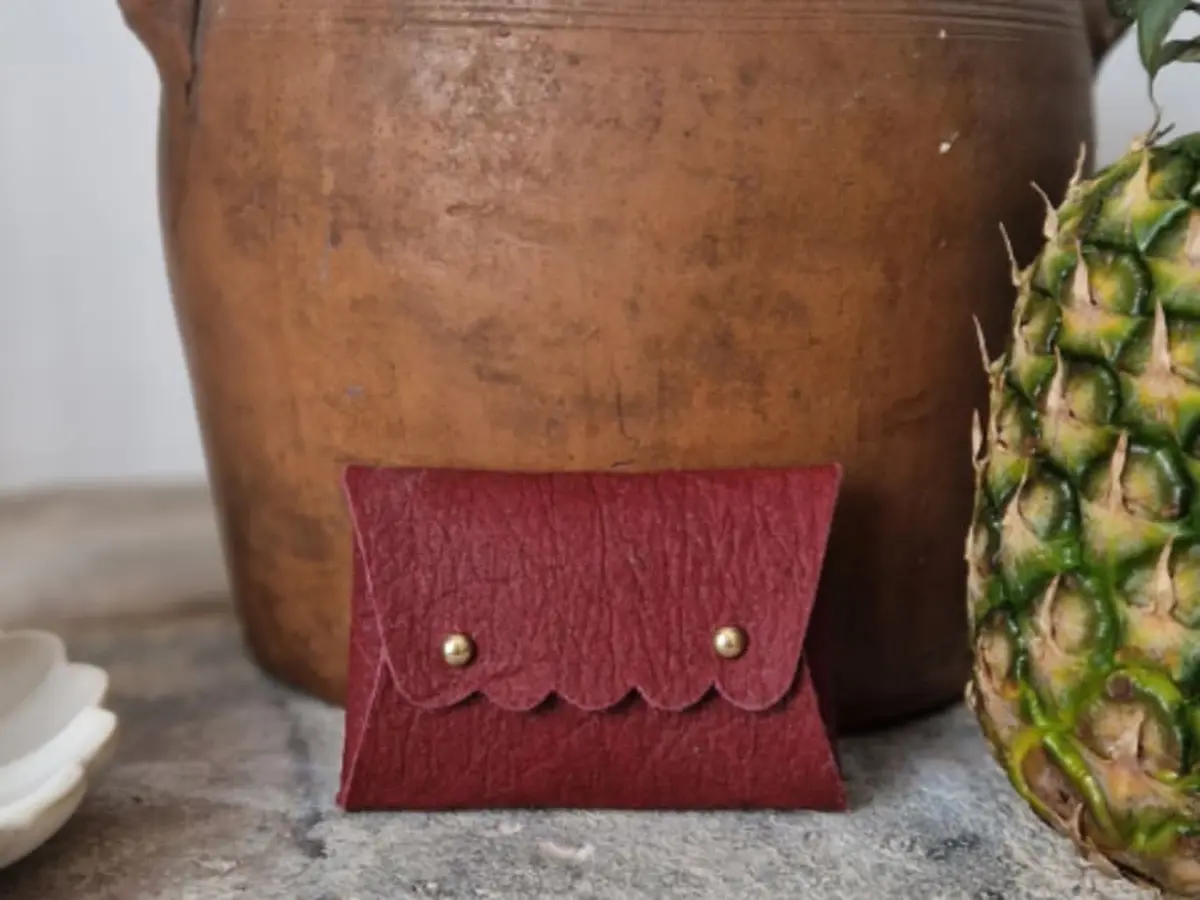 Atelier étui à lunettes ou porte-monnaie en piñatex à Niort