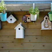 Atelier Fablab : Fabrique ton nichoir à oiseaux