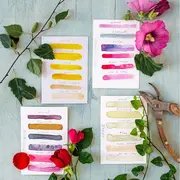 Atelier Fabrication d'aquarelle