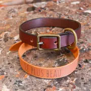 Atelier fabrication d'un collier en cuir près d'Annecy (74)