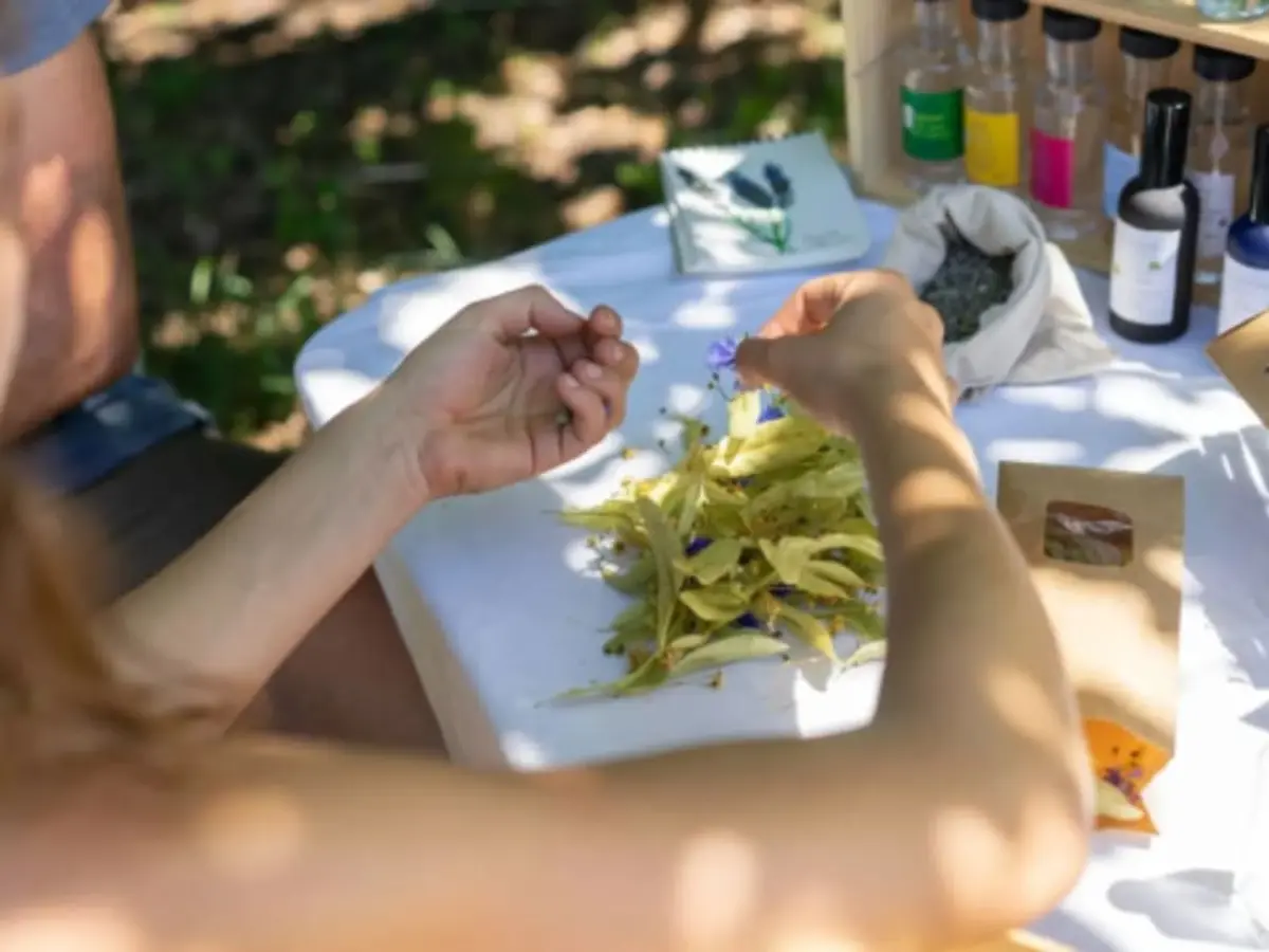 Atelier fabrication d'un élixir aux plantes médicinales à Nice