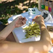 Atelier fabrication d'un élixir aux plantes médicinales à Nice