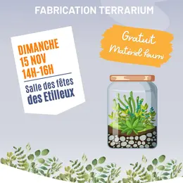 Atelier - Fabrication d'un terrarium