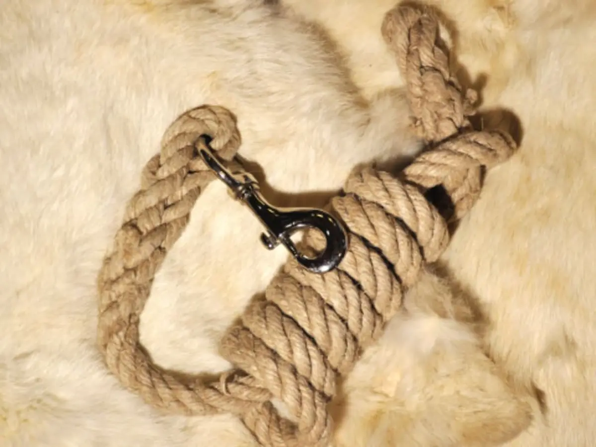 Atelier fabrication d'une longe/laisse naturelle à Kayserberg