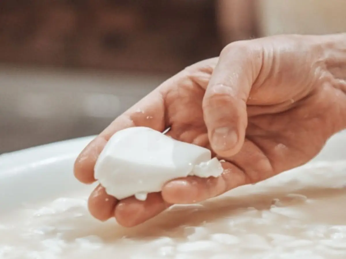 Atelier fabrication de Burrata et Mozzarella à Toulouse (31)
