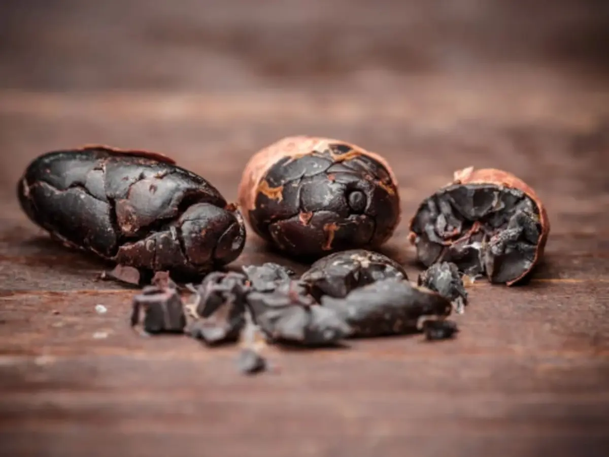 Atelier fabrication de chocolat à Nantes (44)