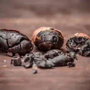 Atelier fabrication de chocolat à Nantes (44)