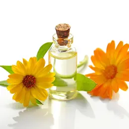 Atelier Fabrication De Cosmétiques Naturels