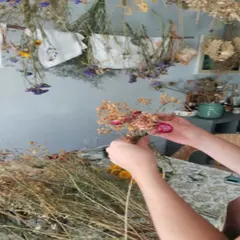 Atelier fabrication de fleurs séchées naturelles à Toulouse (31)