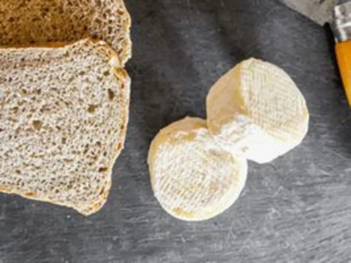 Atelier fabrication de fromage fermier de brebis à la ferme (09)