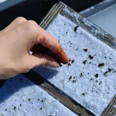 Atelier Fabrication de papier recyclé à Luchapt (86)