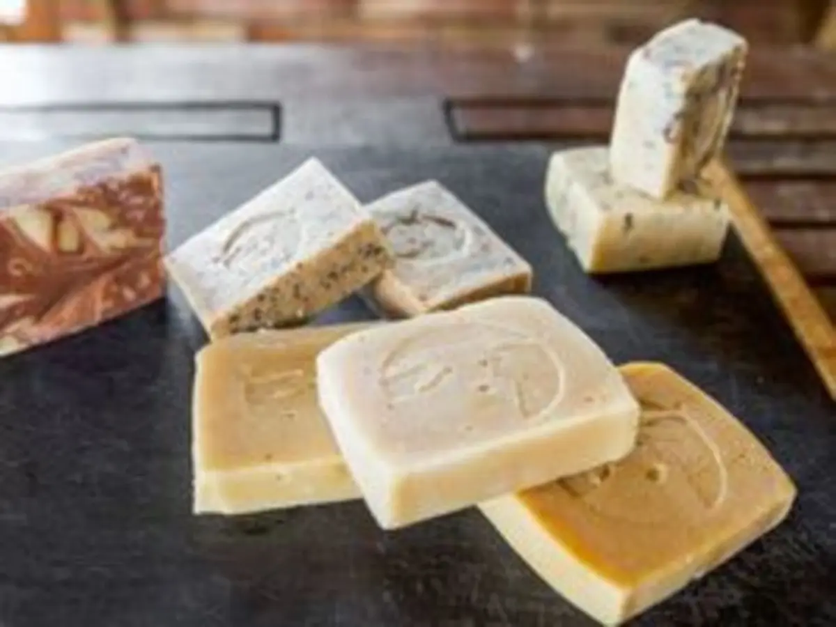 Atelier fabrication de savon artisanal au lait de brebis (09)