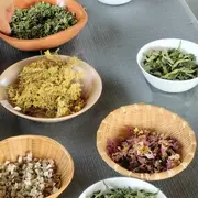 Atelier fabrication de tisane