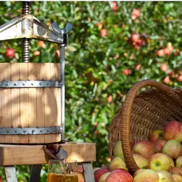 Atelier : Fabrication du jus de pommes