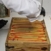 Atelier fabrication savon