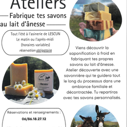 Atelier - Fabrique tes savons au lait d'ânesse.