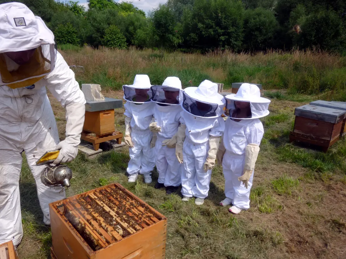 Atelier famille Apiculture