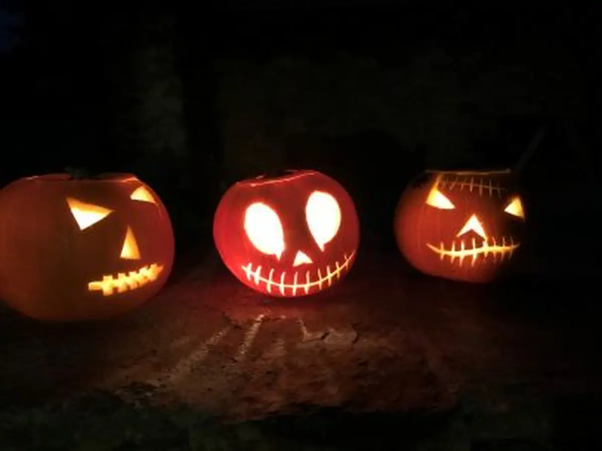 Atelier famille Citrouilles d'Halloween