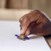 Atelier famille “Empreintes végétales”