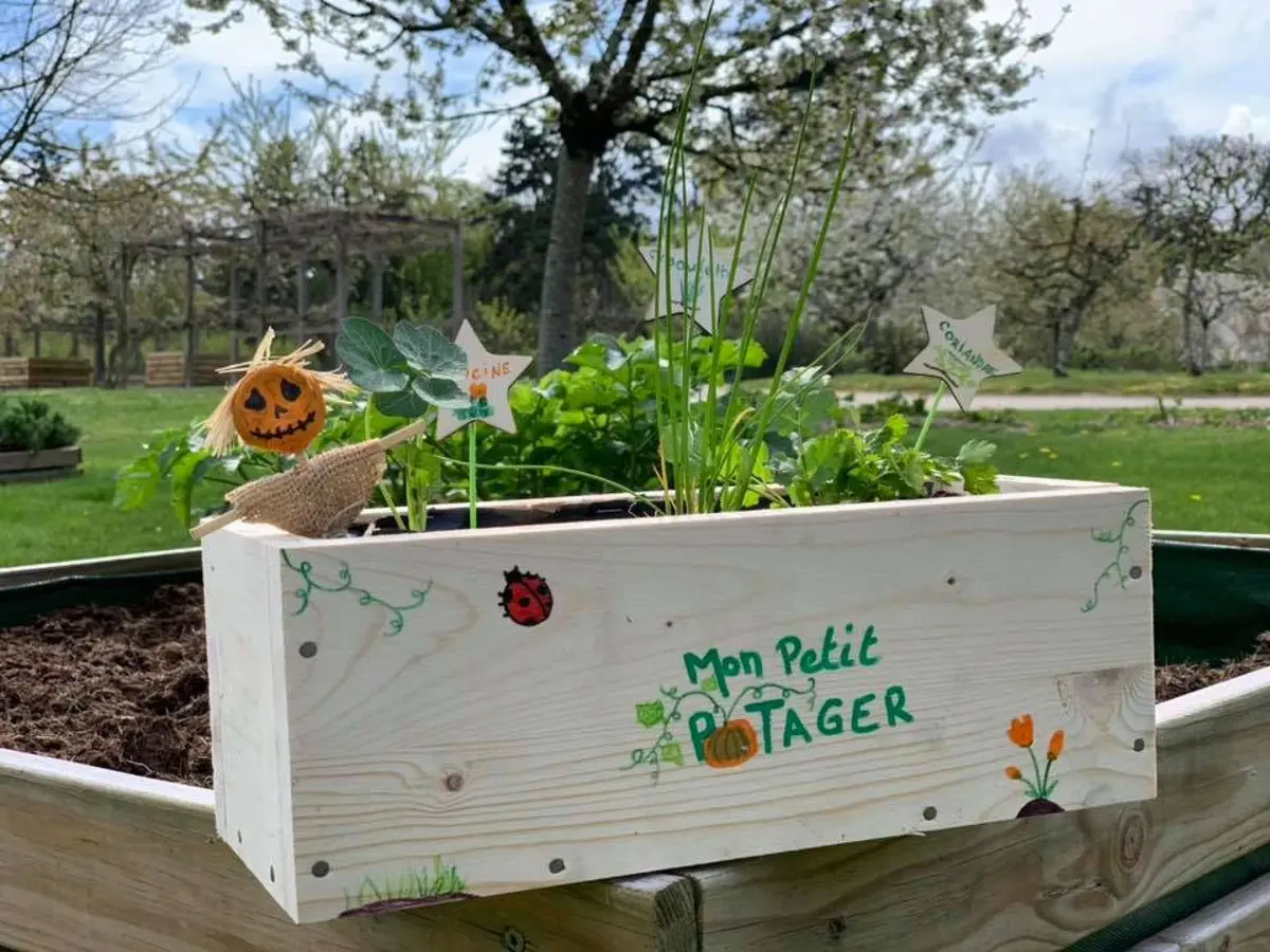 Atelier famille Petits plants