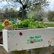 Atelier famille Petits plants