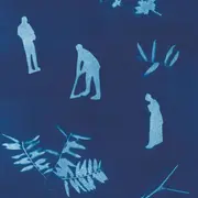 Atelier famille : studio cyanotype