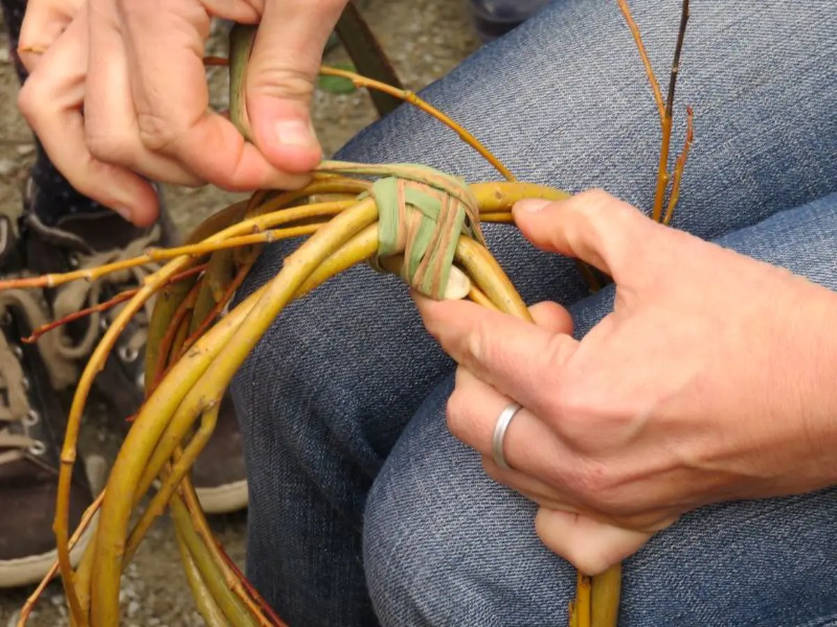 Atelier famille : vannerie