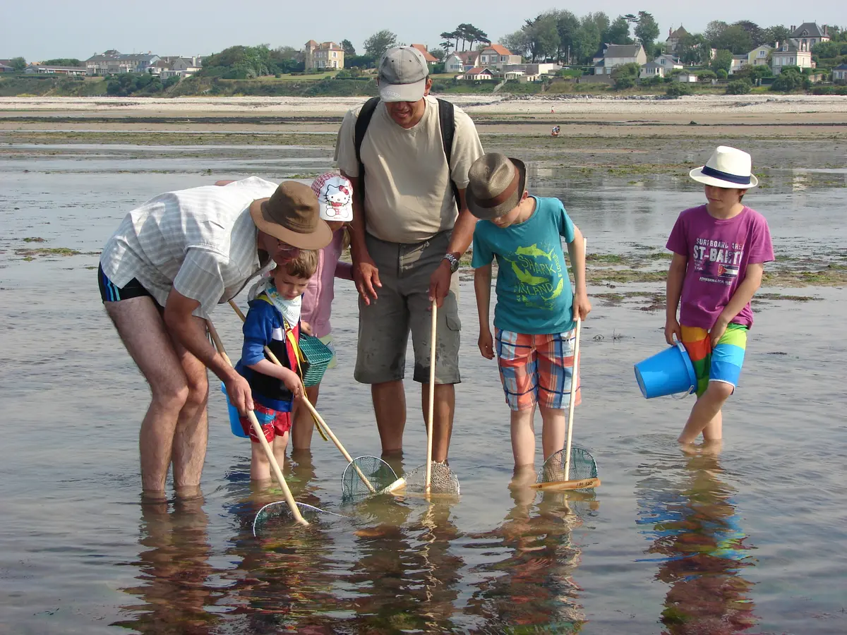 Atelier familles A vos épuisettes ! découverte des trésors du littoral