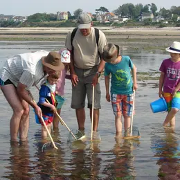 Atelier familles A vos épuisettes ! découverte des trésors du littoral